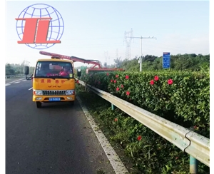 广西绿化修剪车